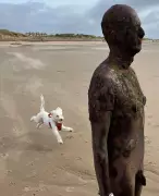 iPhone Captures Perfect Moment at Gormley's Crosby Beach Statues
