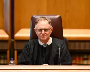 Judges Act as 'Human Filters' for AI in Unsustainable Legal Phase