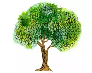 Kids' Quiz: How Many Trees Do We Cut Daily for Paper?