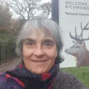 Kingston woman fights to save Richmond Park's stag beetles from development