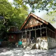 London's Fairy Tale Café Hidden in Ancient Woodland Near Tube