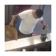 Man faces 20 years for smuggling sedated parakeets in his trousers