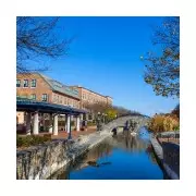 Man Waits 18 Days to Report 'Amazing' Dead Body Find to Radio Show