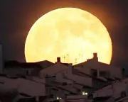 Miles Burrows' 'Missing You' Poem Confronts Ageing in Modern Society