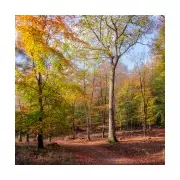 Mythical 'Dorsetshire' Region to Get Two Brand New Towns in Major Housing Expansion