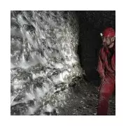 Nightmare in Silk: World's Largest Spider Web Discovered in Cave