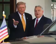 Orbán's White House Flattery: Seeking Trump's Favour on Russia Sanctions