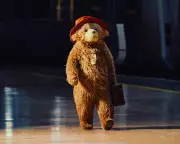 Paddington's Grand Return: Beloved Bear Gets Spectacular Stage Makeover for 2025 Musical Revival
