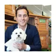 Pets Corner CEO's £4m Fireworks Display Sparks Outrage After Horse Death