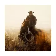 Red Dead Redemption Joins PS Plus Extra on December 2 With Undead Nightmare