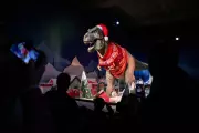 Roar Into The Festive Season: Natural History Museum's T-Rex Gets A Christmas Jumper