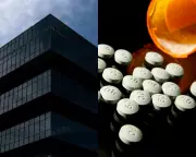 Sacklers to Pay $7bn in Landmark Opioid Settlement Approved by Court
