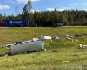 Second Escaped Monkey Shot Dead in Mississippi as Public Safety Concerns Mount