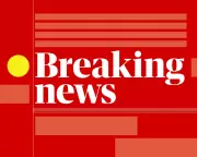 Shark Attack Tragedy: Woman Killed, Man Critical on NSW Beach