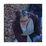 Slender Man Attacker Escapes After Cutting Police Tag in Madison