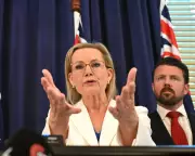 Sussan Ley's Leadership Secure After Net Zero Decision, Says Senator