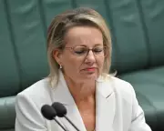 Sussan Ley's Net Zero Dilemma Threatens Fragile Liberal Leadership