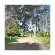 Sussex Park Daylight Attack: Police Hunt Teenage Girl's Rapist