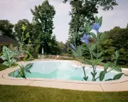 The Hidden Costs of Pool Ownership: A British Perspective