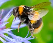 Thursday News Quiz No. 223: Test Your Topical Knowledge