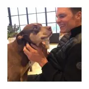 Tom Brady's Heartfelt Revelation: NFL Legend Welcomes Cloned Version of Beloved Deceased Dog