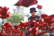 Tower of London's 2025 Poppy Display Closes: Are the Poppies For Sale?