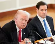 Trump Begins Process to Designate Muslim Brotherhood as Terrorist Group