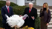 Trump Pardons Gobble as Floods and Fires Hit Global Headlines