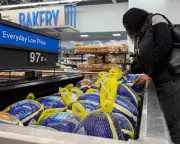 Trump's Thanksgiving Price Claims Face Economic Reality Check