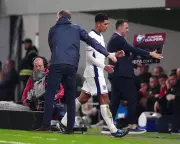 Tuchel Unimpressed by Bellingham's Reaction to England Substitution