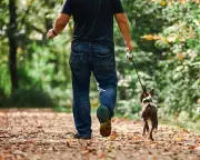 Walking 3,000 Steps Daily Could Slow Alzheimer's Progression, New Study Reveals