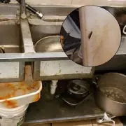 West London Takeaway Fined £12k for Serious Cockroach Infestation