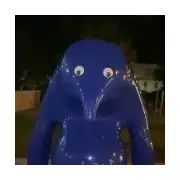 Woman accused of vandalising £68,000 'Blue Bob' sculpture with googly eyes