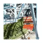 Woman Plunges 6m from Rollercoaster in Fatal Gröna Lund Accident