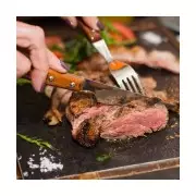 World's First Death from Tick-Bite Meat Allergy Claims US Pilot