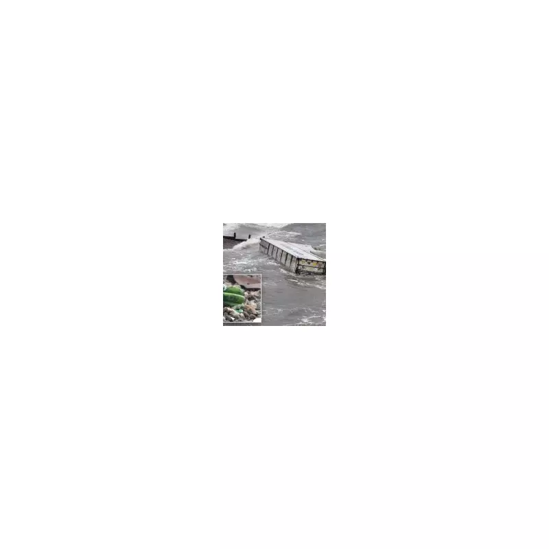 5,000 Bananas Wash Ashore on Isle of Wight, Disrupting Cruise Ship