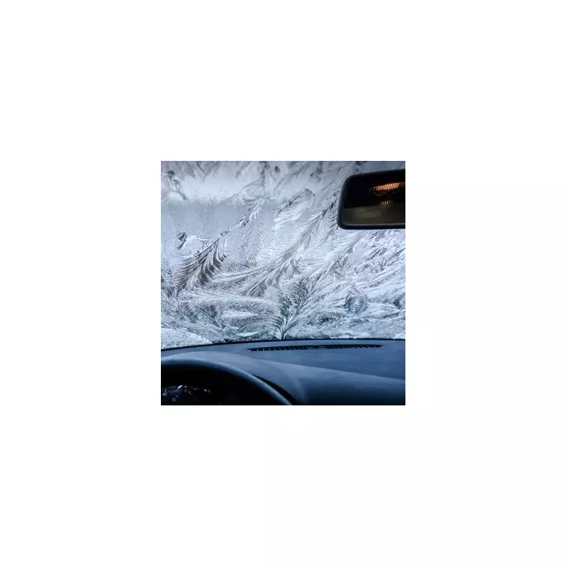 AA's Cardboard Trick: Stop Frost on Your Windscreen Overnight