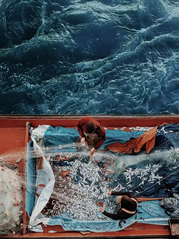 Ahmad Mansour's 'Best Phone Picture' Captures a Fleeting Moment in London