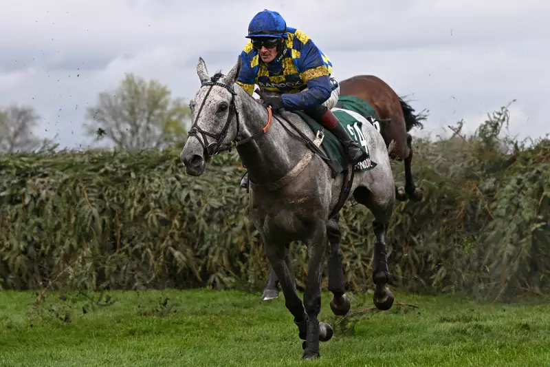 Becher Chase Preview: Bill Baxter Eyes Aintree Glory & £500k Bonus