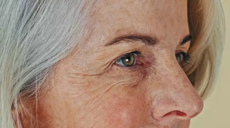 Best Phones for Ageing Eyes: iPhone 17 Pro Max vs Foldables Tested