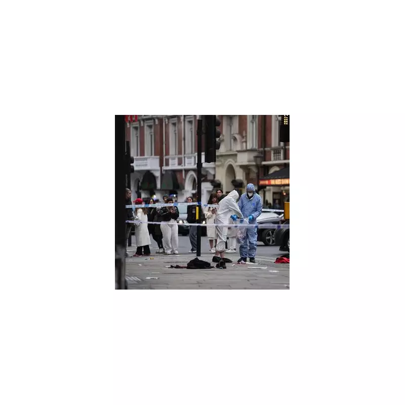 Christmas Day 'Trail of Carnage': Man, 25, 'Had No Chance' Against Mercedes Driver