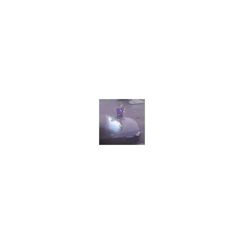 Croydon Council paints disabled bay around parked Audi, driver fined twice