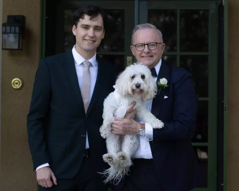 From PM's Cavoodle to VIP Pets: How Animals Are Stealing the Wedding Spotlight