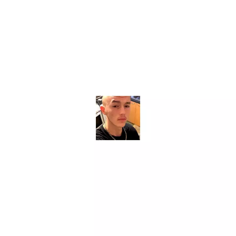 M5 Tragedy: Teen Tasered by Police Before Fatal Collision, Watchdog Reveals