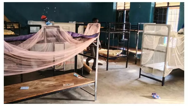 Nigeria Secures Release of 100 Abducted Schoolchildren in Major Kidnapping Case