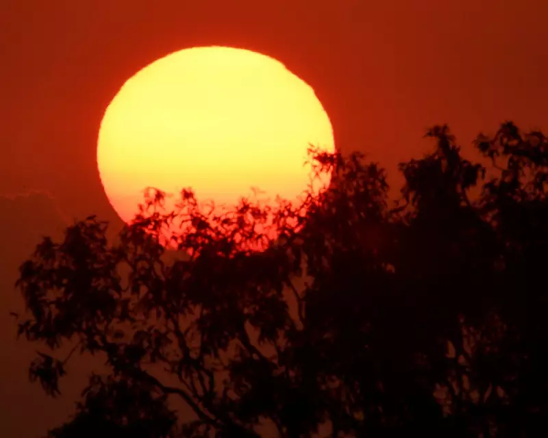 NSW Heatwave Hits 37.8C in Sydney as Bushfire Warnings Issued
