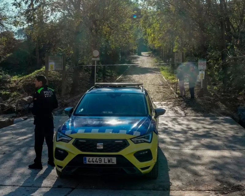 Spanish Swine Fever Outbreak: Police Seal Barcelona Park, Exports at Risk