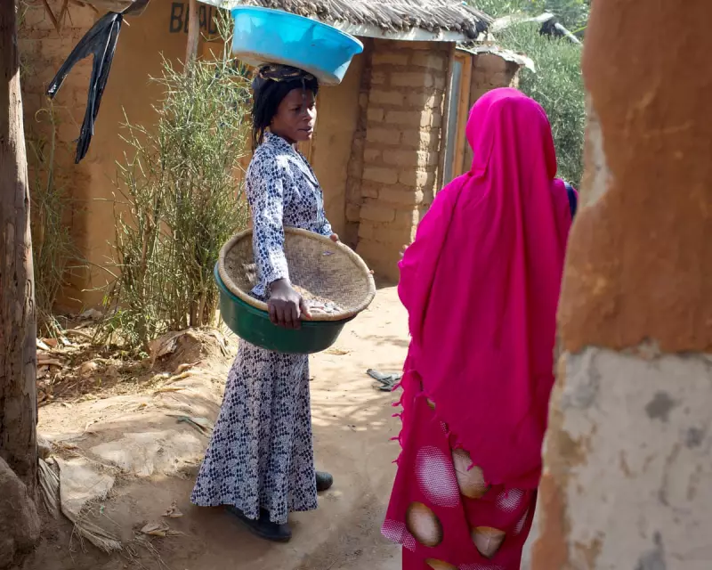 Uganda Halts Asylum for Eritreans, Somalis and Ethiopians Amid Funding Crisis