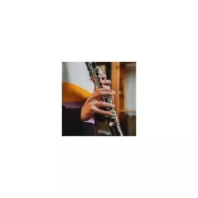 AI Lockdown at US School Over 'Gun' That Was a Clarinet