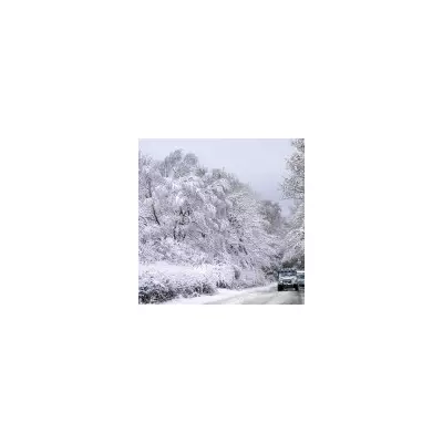 Arctic Freeze to Hit UK with -12°C and Snow for New Year 2026